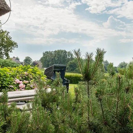 Pur A7 Casa vacanze Wustrow (Fischland)